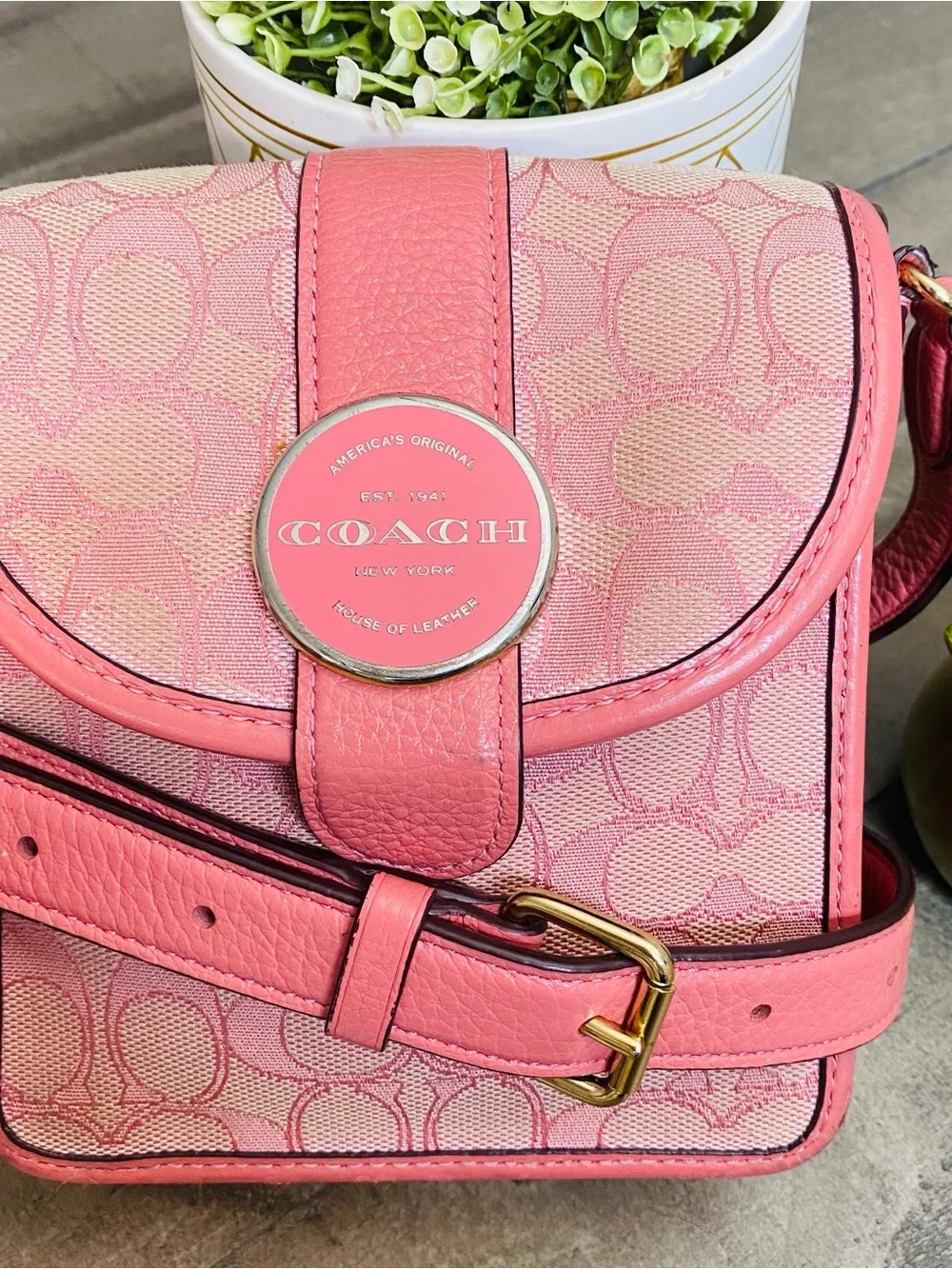 Coach Lonnie North South Crossbody Bag Pink Signature Jacquard Pebble Leather